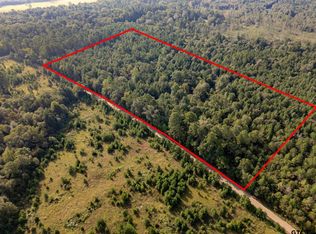 17288 County Road 399, Winona, TX 75792