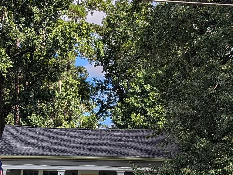 805 E Clay St — Photo 23