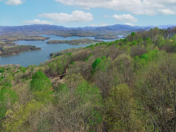 890 Locust Trl, Hiawassee, GA 30546
