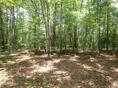 Near 19400 Arch Mcleod Road, Laurinburg, NC, 28352