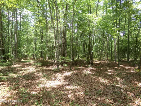 Near 19400 Arch Mcleod Road, Laurinburg, NC 28352