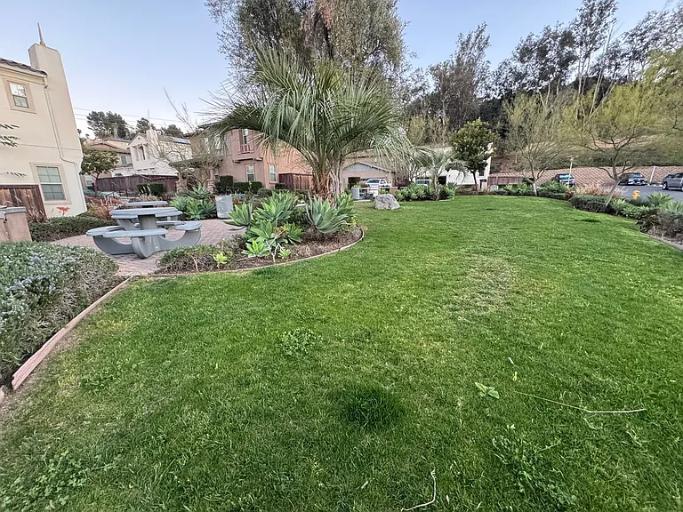345 Dahlia Way — Photo 25