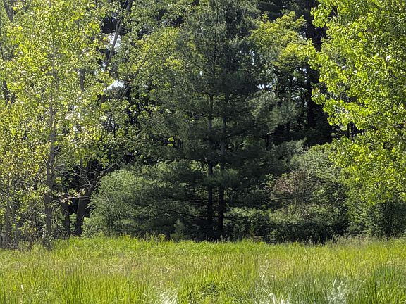 2nd image of 8770 Belfield Rd
