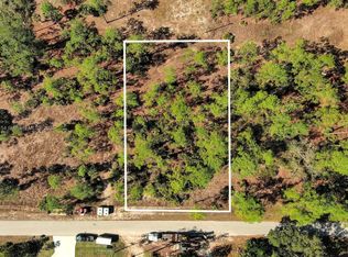 2309 Grant Ave, Alva, FL 33920