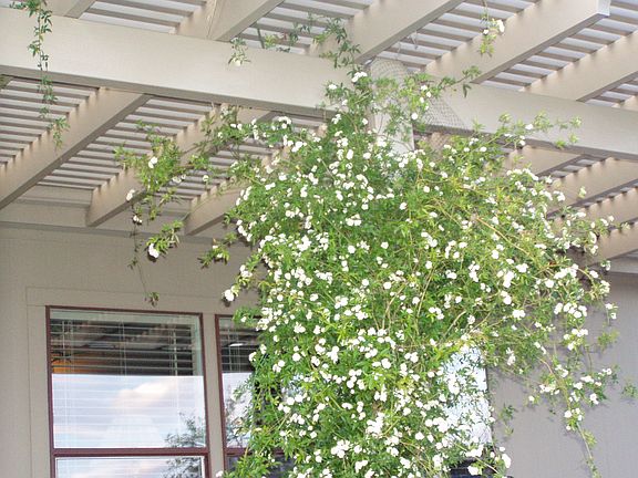 2nd image of 6455 E Camino Aurelia