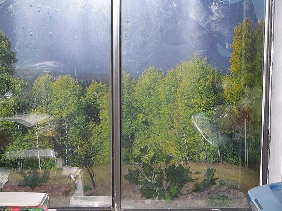 Basement Window Upgrade