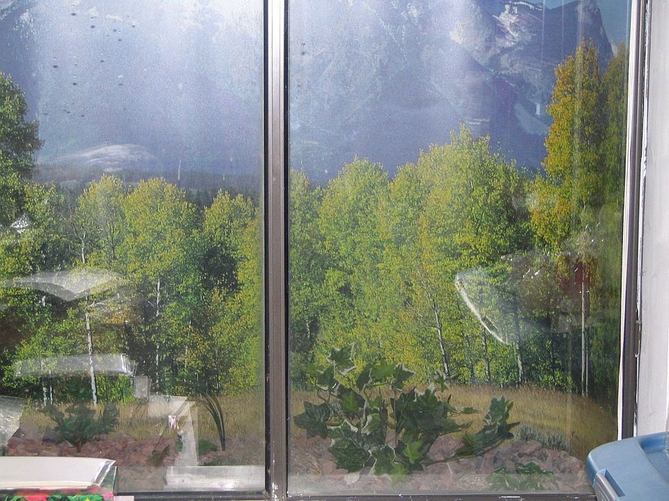 Basement Window Upgrade