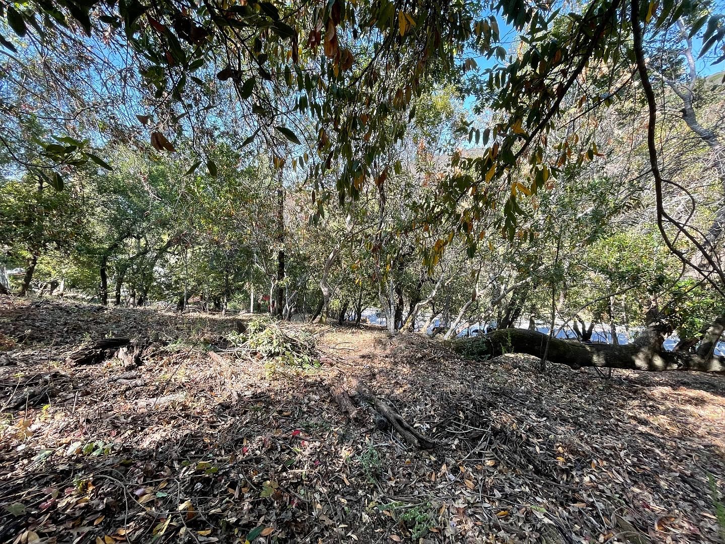 145 Foxwood Rd, Portola Valley, CA 94028 MLS ML81902371 Zillow