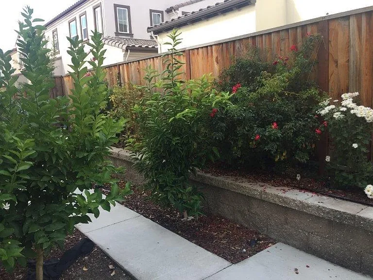 2017 Tarragon Rose Ct — Photo 11
