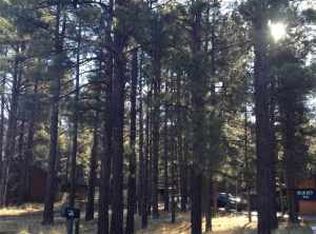 5413 Bear Run Rd, Lakeside, AZ 85929