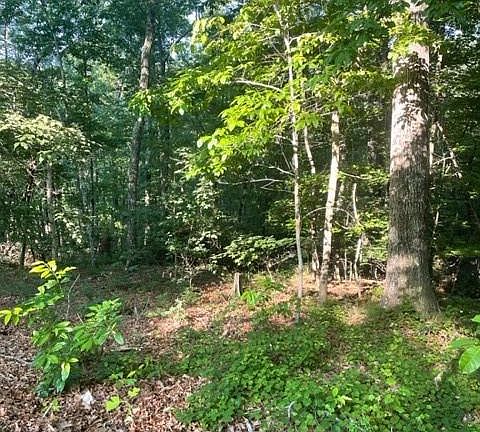 4th image of 0 Travelers Rest Ln
