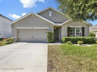 4233 Bramblewood Loop, Spring Hill, FL 34609