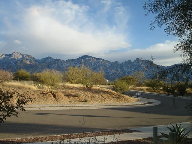 View from front window