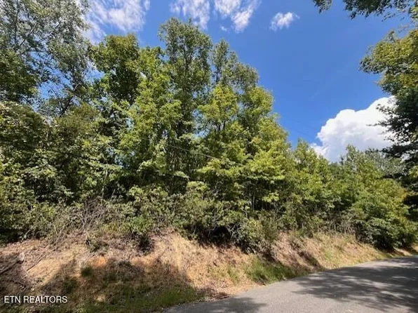 0 Overview Dr, Gatlinburg, TN 37738