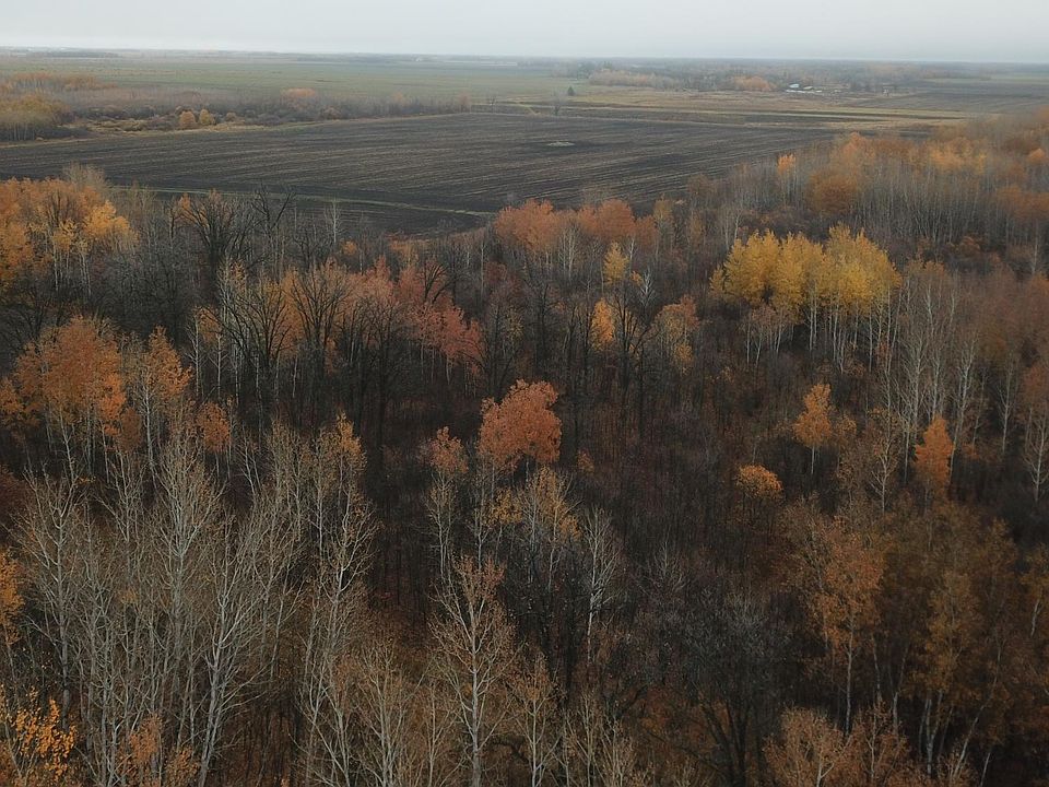 330th Ave NE, Goodridge, MN 56725 MLS 6453006 Zillow