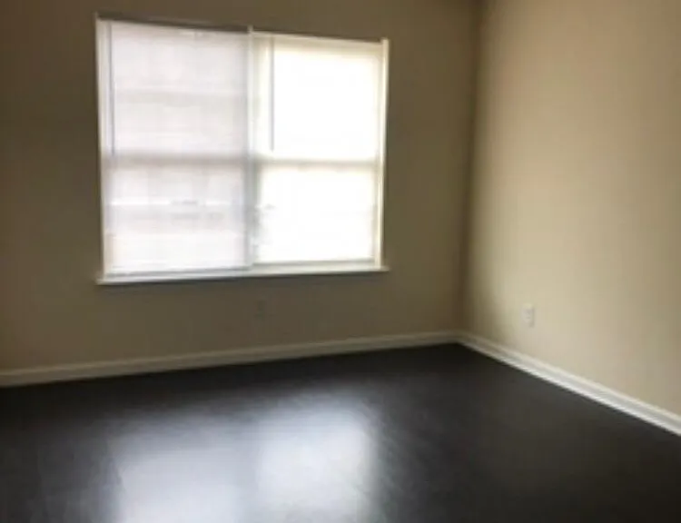 1225 Maple Valley Ct — Photo 5