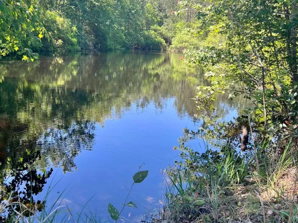 0 Cotton Patch Rd, Hazlehurst, GA 31539