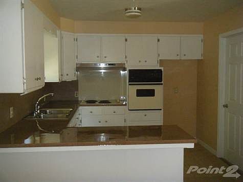 DSCF4460