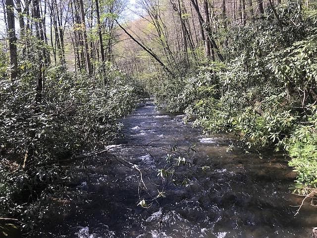 1st image of 7810 Little Snowbird Rd