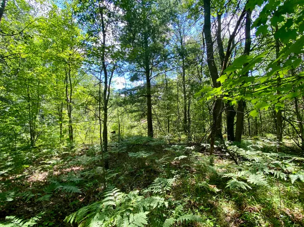Bear Lake Rd, Johannesburg, MI 49751