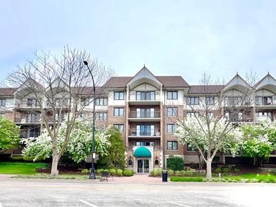 5 S Pine St APT 403, Mount Prospect, IL, 60056