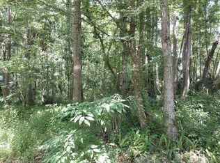 24028 Bass Rd #17, Astor, FL 32102