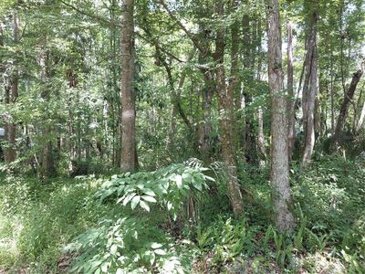 24028 Bass Rd #17, Astor, FL, 32102