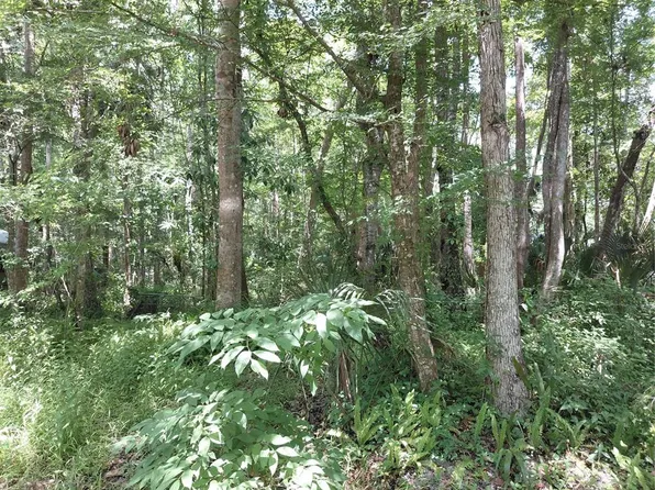 24028 Bass Rd #17, Astor, FL 32102