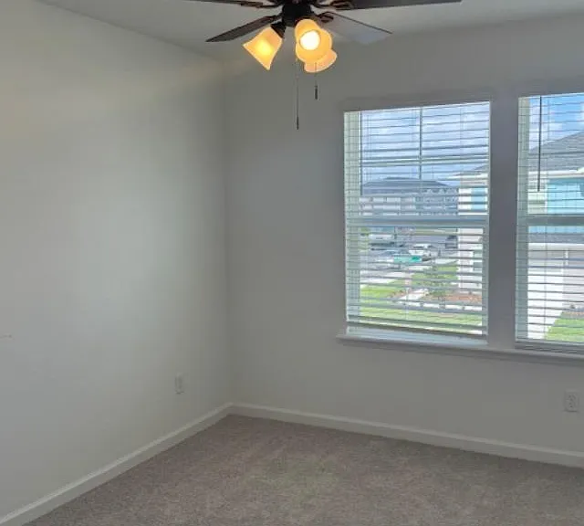 3958 Ornamental Ln — Photo 19