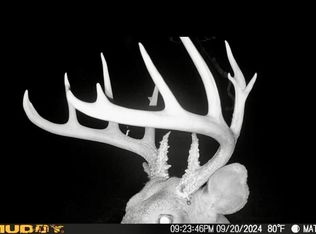 0 Highway 138, Toone, TN 38381