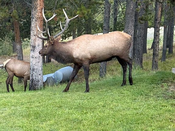 21st image of this home