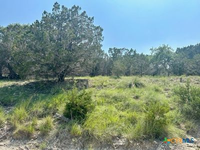 655 Teresa Dr, Canyon Lake, TX, 78133