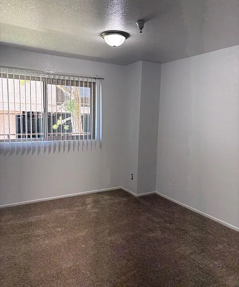 240 W Santa Cruz St #101 — Photo 11