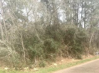 16771 Azalea Ln, Plantersville, TX 77363