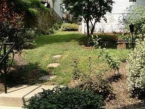 Some of the backyard