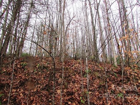 5th image of Pack Saddle Dr