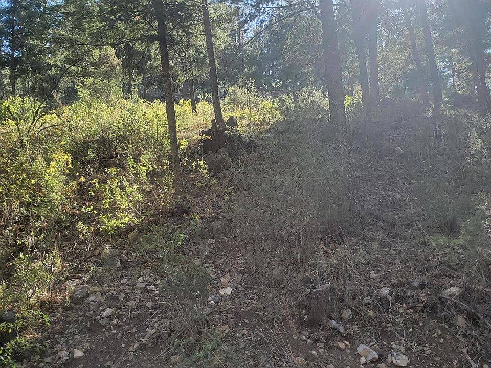 2nd image of 231 Camelot Dr