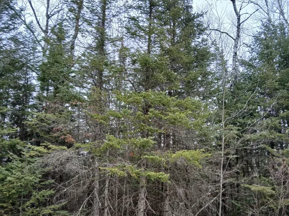 Mi 357 1 Manhardt Rd, Minocqua, WI 54548