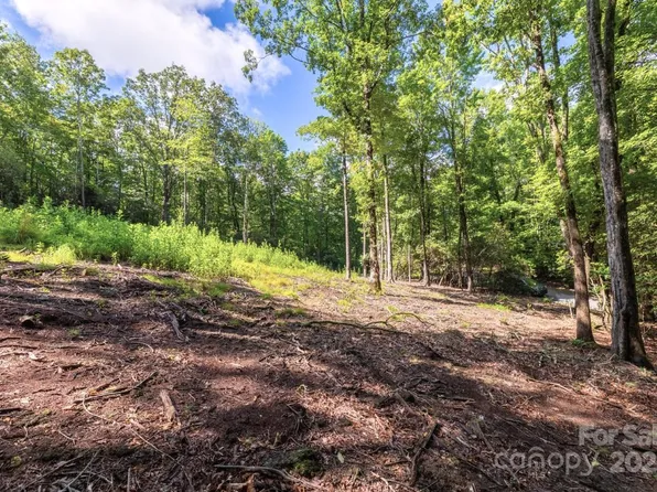 0 School House Rd, Pisgah Forest, NC 28768