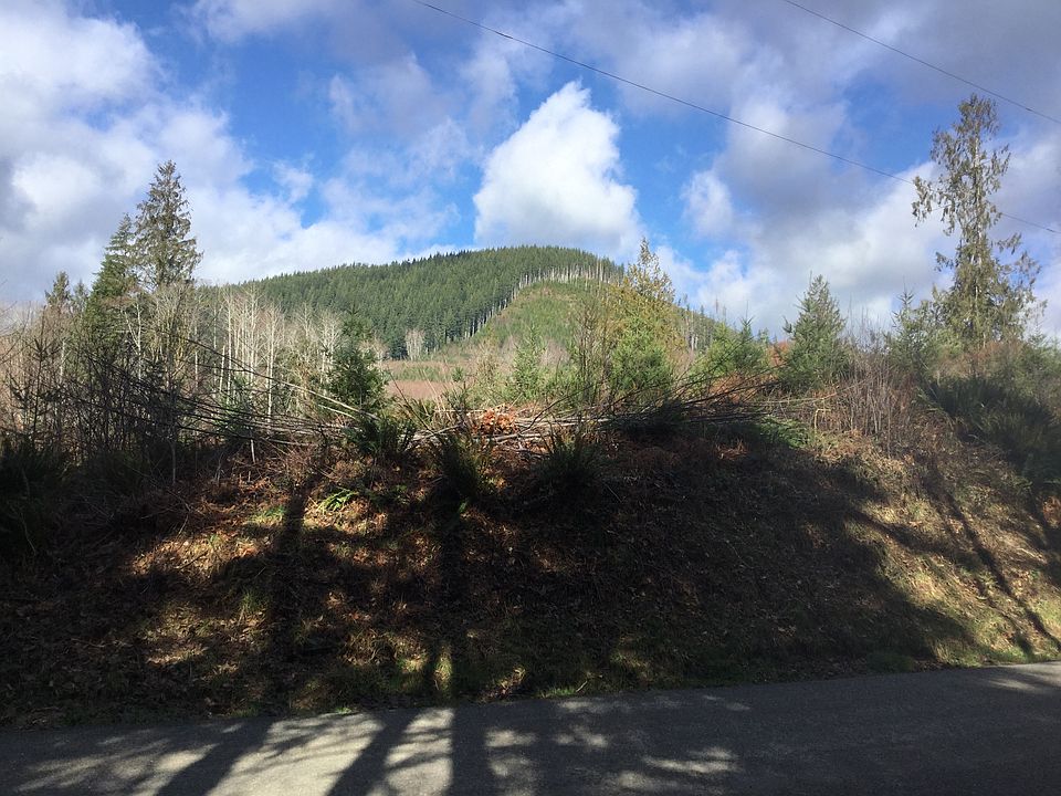 North from Bear Creek Rd
