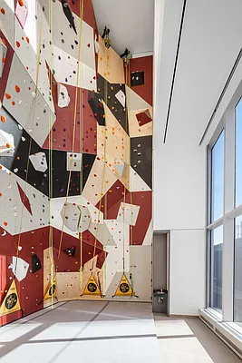 Rented by Compass | media 11