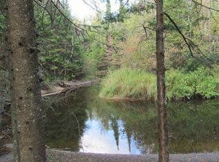 13294 Cecil Bay Rd, Carp Lake, MI 49718