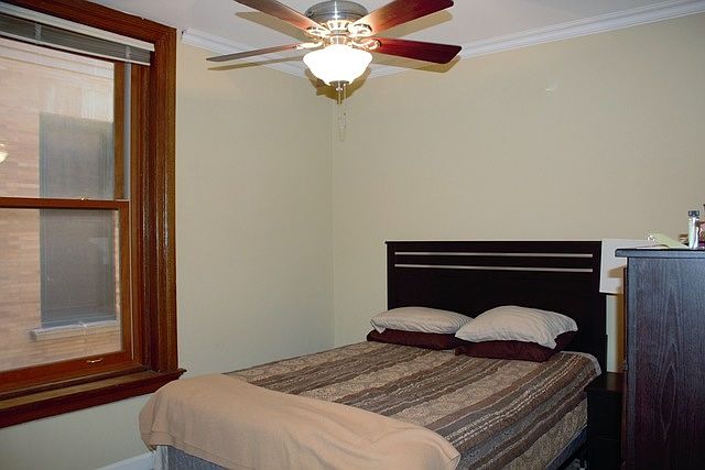 2nd image of 550 W Surf St APT 0504