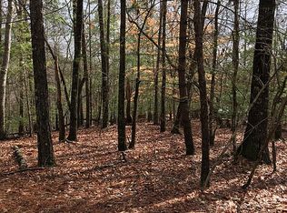 3545 Newport Dr, Ellijay, GA
