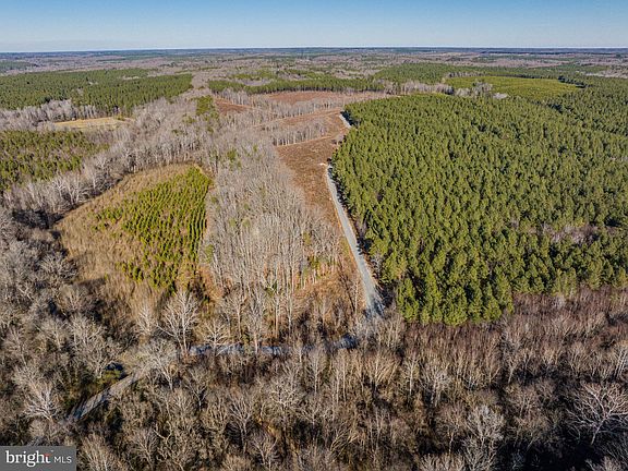 2nd image of 0 Hayes Mill Rd