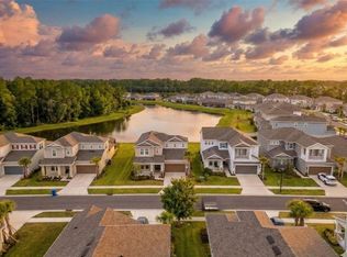 33555 Mainstay Ln, Wesley Chapel, FL 33543