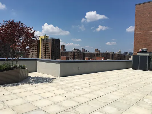 Rented by MNS | media 52