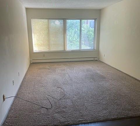 Large living room overlooking Loring Park and Downtown