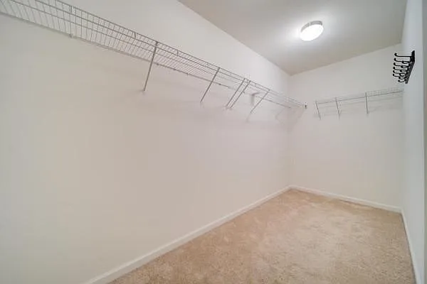 100 Sophie Ct — Photo 20