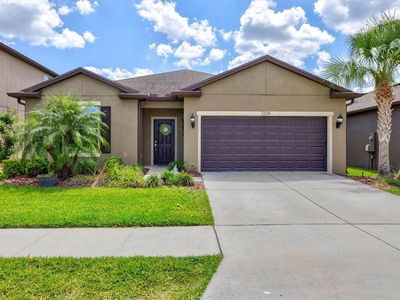 1209 Custer Bayou St, Ruskin, FL, 33570
